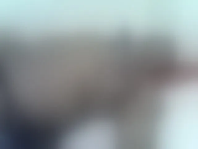 Live sex webcam photo for Sexybooty1 #292624060