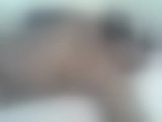 Live sex webcam photo for Sexybooty1 #292713480