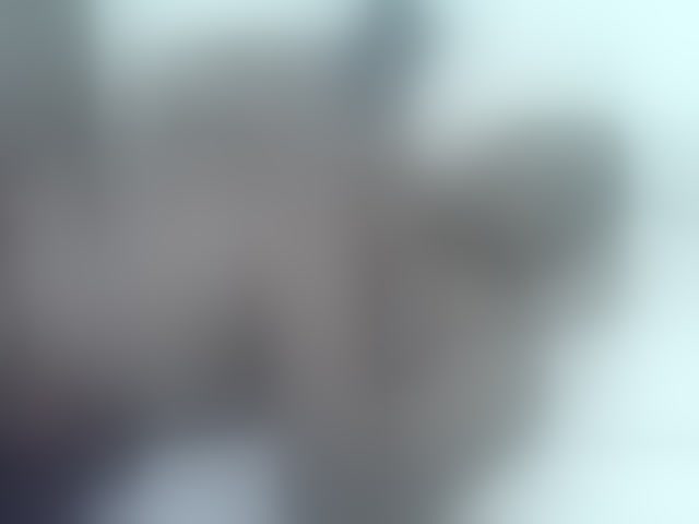 Live sex webcam photo for Sexybooty1 #292740050