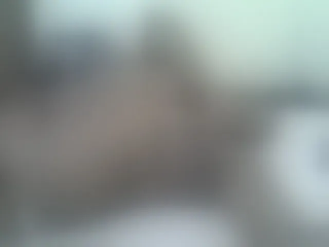 Live sex webcam photo for Sexybooty1 #292798790