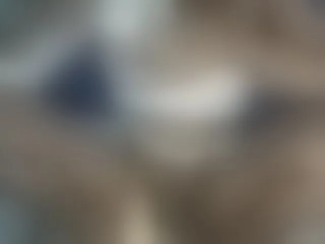 Live sex webcam photo for Sexybooty15 #293875324