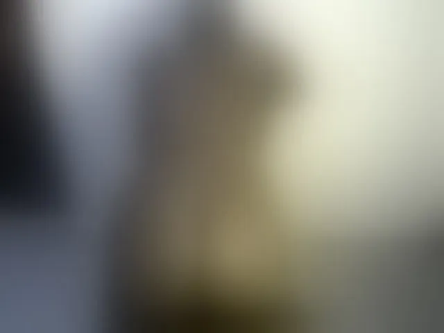 Live sex webcam photo for Sexybutt #291062985