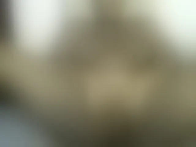 Live sex webcam photo for Sexybutt #291075664