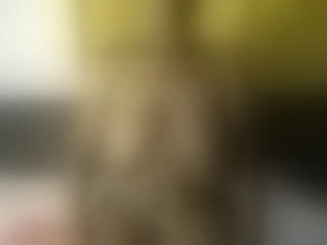 Live sex webcam photo for Sexybutt #293356107