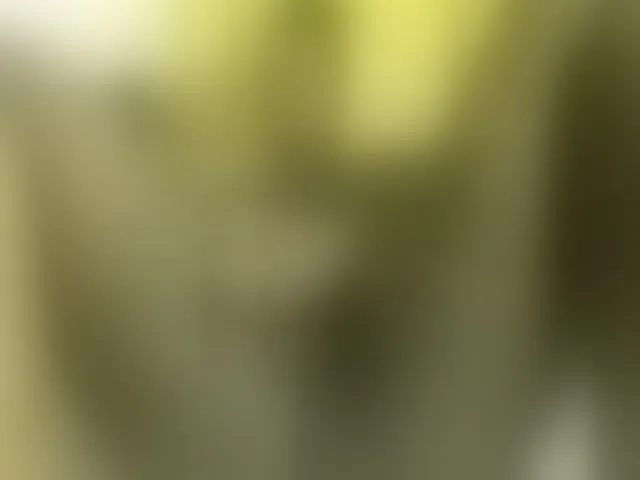 Live sex webcam photo for Sexybutt #293370981