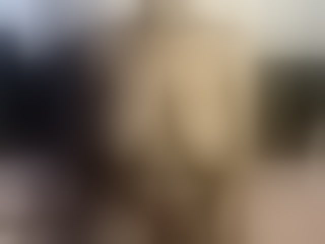 Live sex webcam photo for Sexybutt #294050806