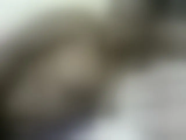 Live sex webcam photo for Sexycandy2 #291118739