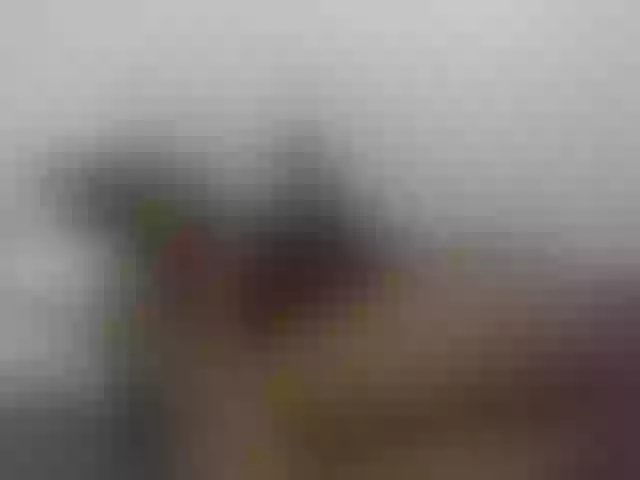 Live sex webcam photo for Sexydee14 #291061445
