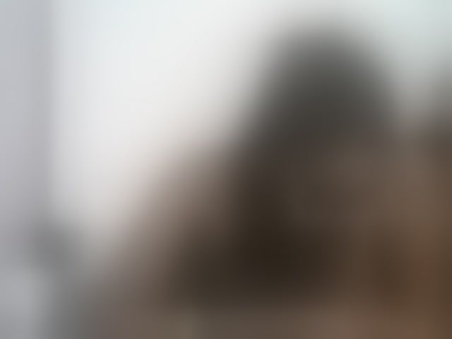 Live sex webcam photo for Sexydivas #293878409
