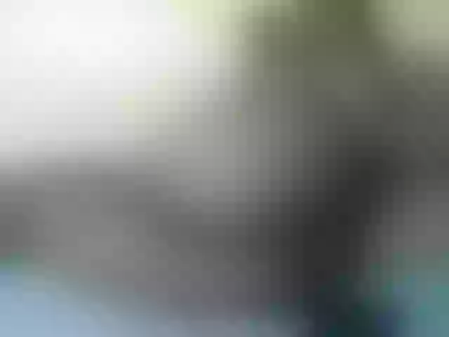 Live sex webcam photo for Sexyebonygal #278120452