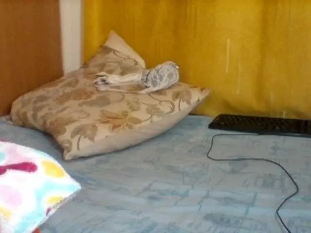Live sex webcam photo for Sexyebonygal #278304990
