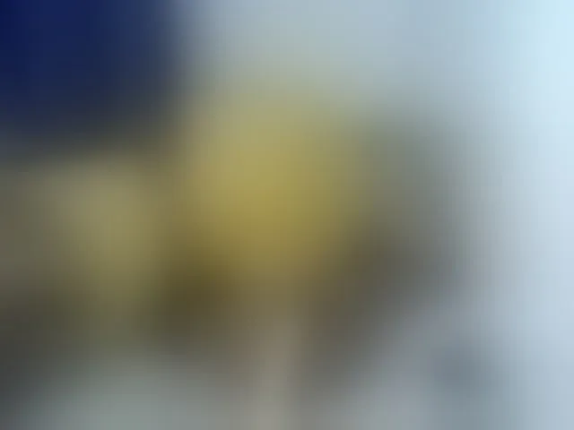 Live sex webcam photo for Sexyevonne #293465629