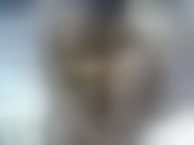Live sex webcam photo for Sexyevonne #293500804