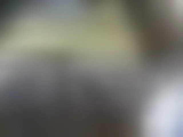 Live sex webcam photo for Sexyevonne #293559151