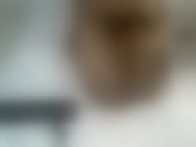 Live sex webcam photo for Sexyevonne #293636563
