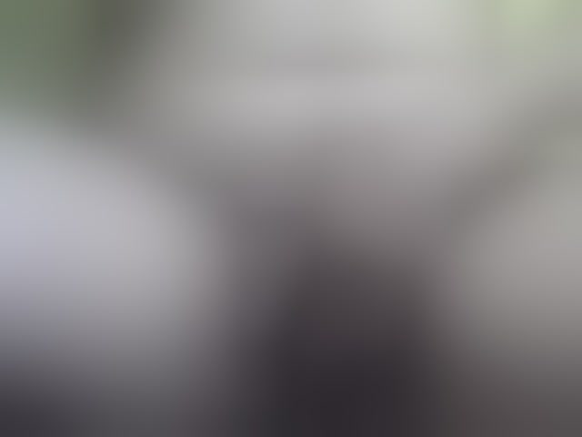 Live sex webcam photo for Sexygirlbiz