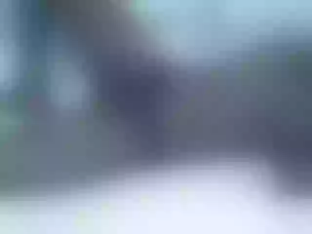 Live sex webcam photo for Sexyhanish #291057567