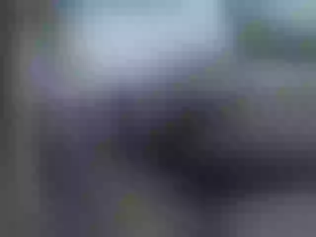 Live sex webcam photo for Sexyhanish #291426391