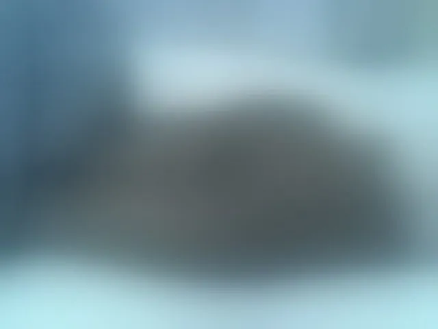 Live sex webcam photo for Sexyhanish #291465851