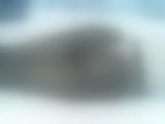 Live sex webcam photo for Sexyhanish #291622337