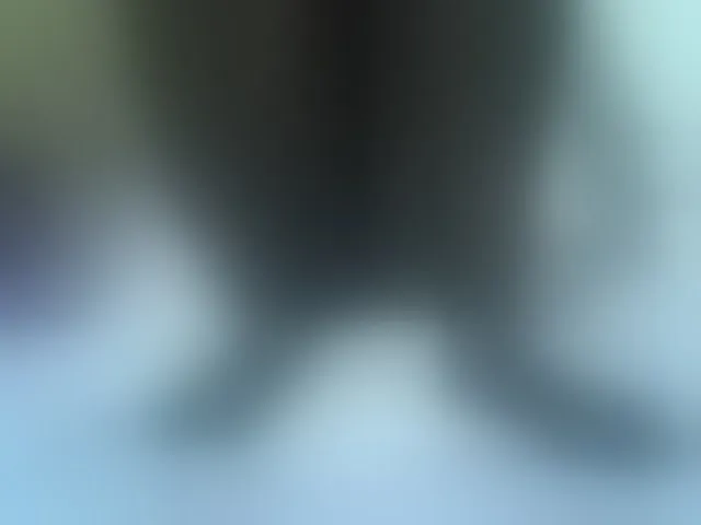 Live sex webcam photo for Sexyhanish #293426171