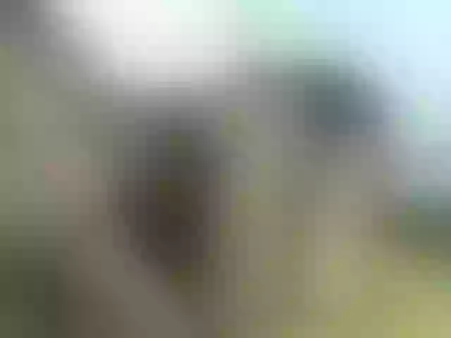 Live sex webcam photo for Sexyicey #292255969
