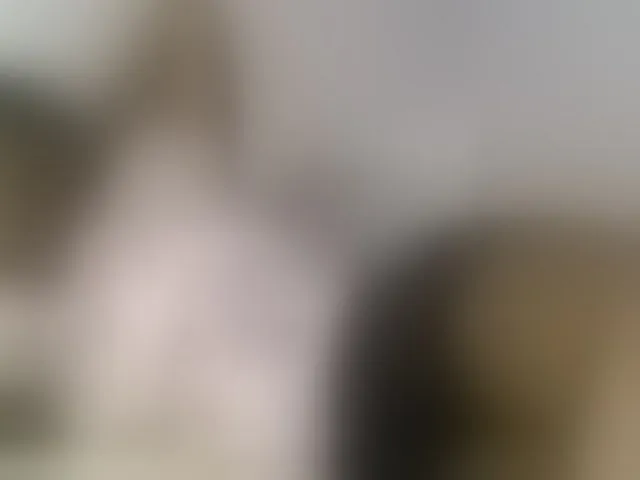 Live sex webcam photo for Sexyicey #293502508