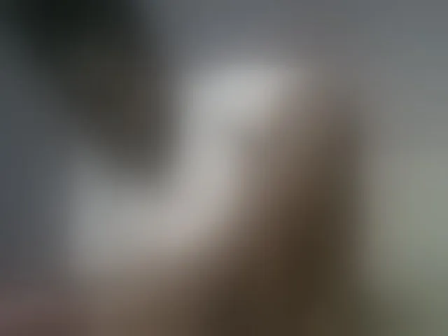 Live sex webcam photo for Sexyicey #293663086