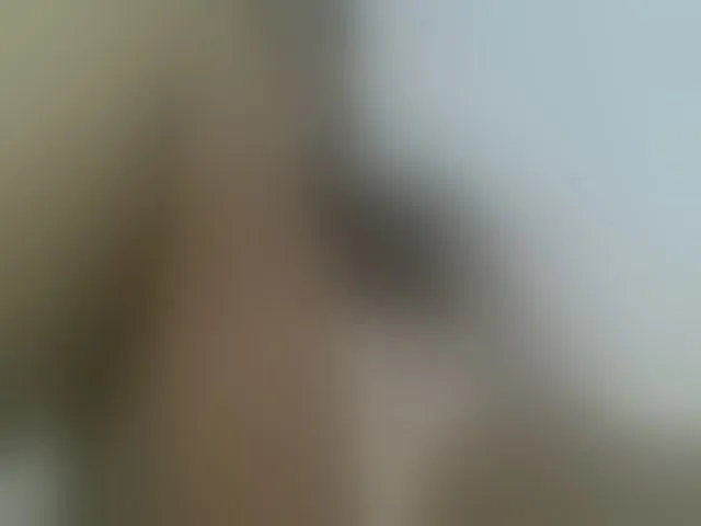 Live sex webcam photo for Sexyicey #293737857