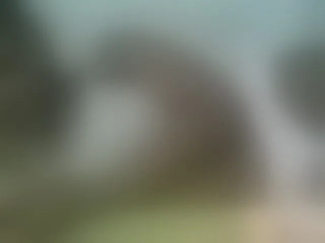 Live sex webcam photo for Sexyicey #293749340