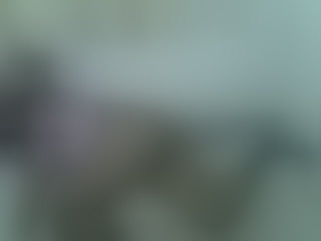 Live sex webcam photo for Sexyjackie #294197548