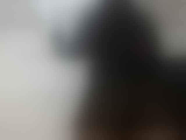 Live sex webcam photo for Sexyjustin202 #294276608
