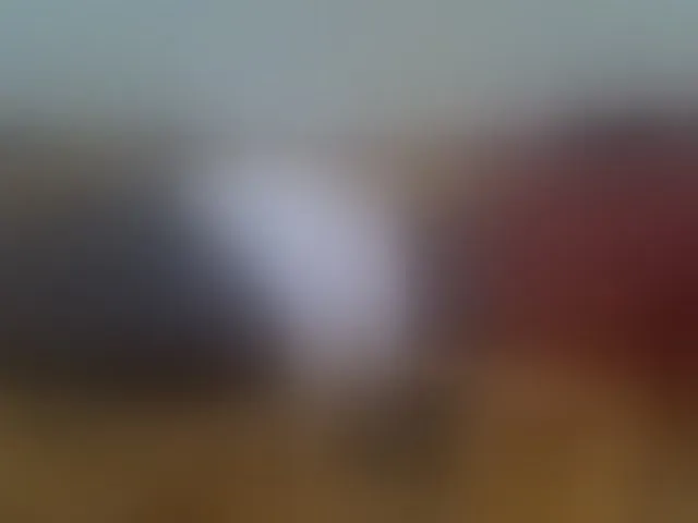 Live sex webcam photo for Sexykiteey #291739701