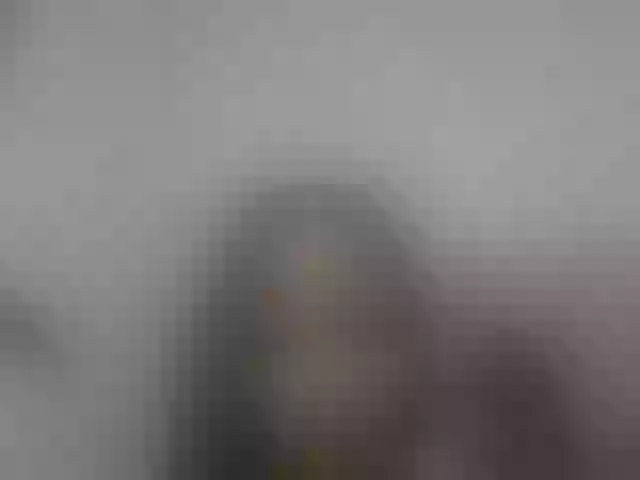 Live sex webcam photo for Sexynina25 #292264868