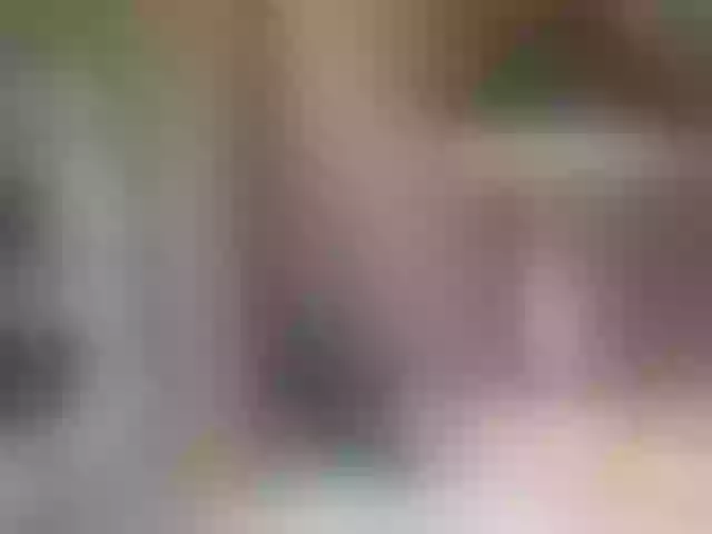Live sex webcam photo for Sexysandra69 #276954114