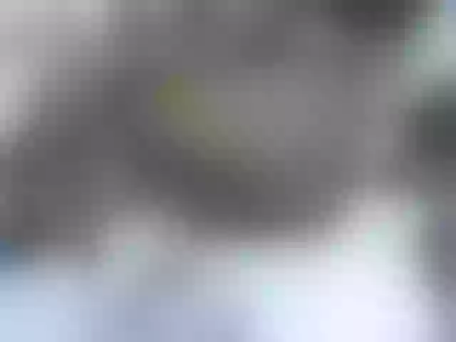 Live sex webcam photo for Sexyshaz #292097042