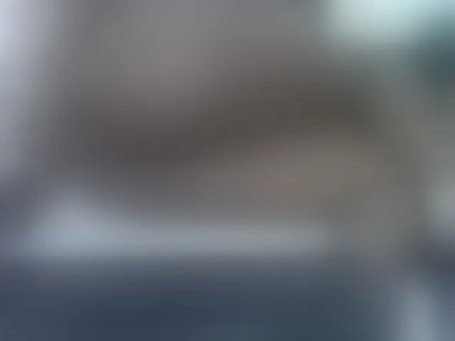 Live sex webcam photo for Sexyshaz #292098674