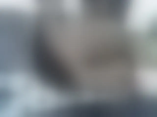 Live sex webcam photo for Sexyshaz #292203328