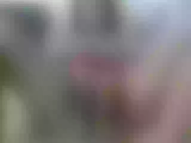 Live sex webcam photo for Sexyslenderxxx #290165240
