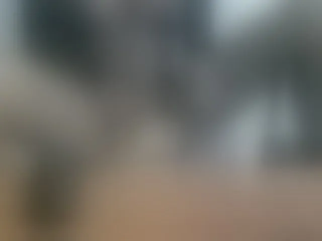 Live sex webcam photo for Sexyvanny254 #288065856