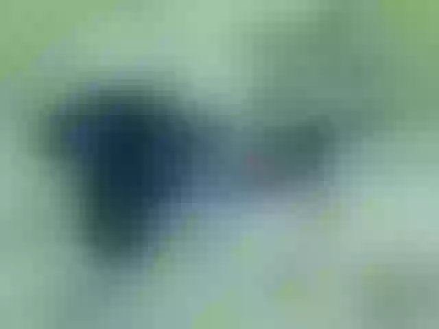 Live sex webcam photo for Sexyyves #292269792
