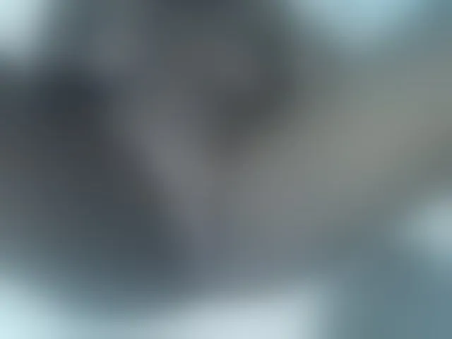 Live sex webcam photo for Sexyyves #292968305