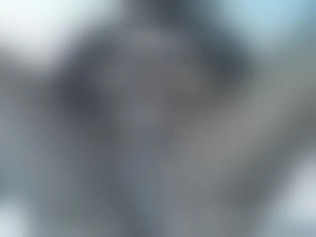 Live sex webcam photo for Sexyyves #293206930