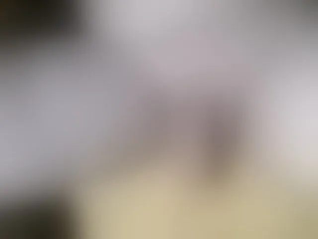 Live sex webcam photo for Shalunisnka6 #278247683