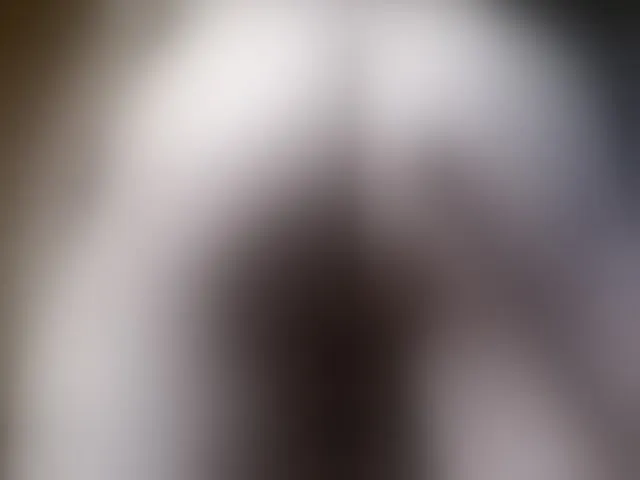 Live sex webcam photo for Shalunisnka6 #289921780