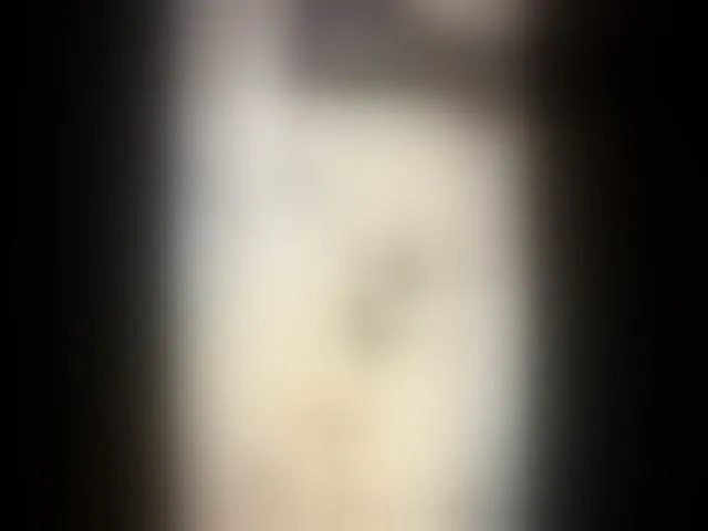 Live sex webcam photo for Shan1302 #293423276