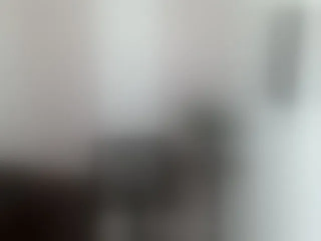 Live sex webcam photo for ShantalCarson #293779986