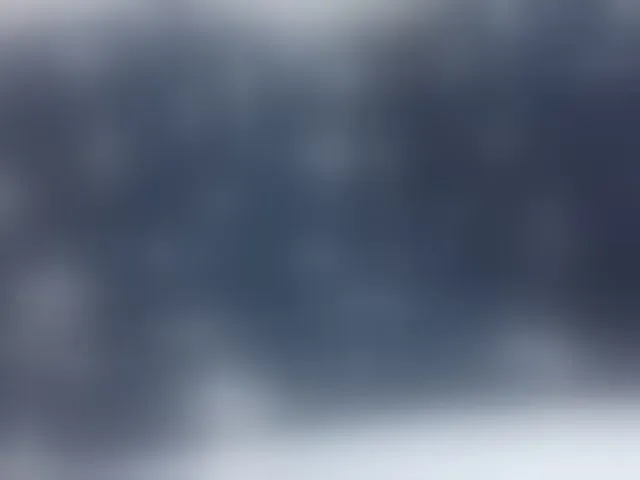 Live sex webcam photo for Shantell #293112515