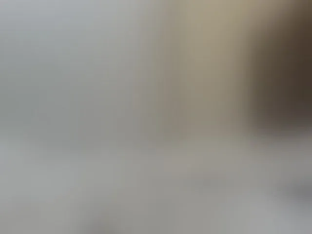Live sex webcam photo for Shantell #293160184