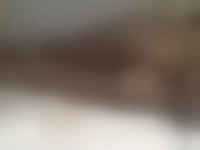 Live sex webcam photo for Shantell #293273944